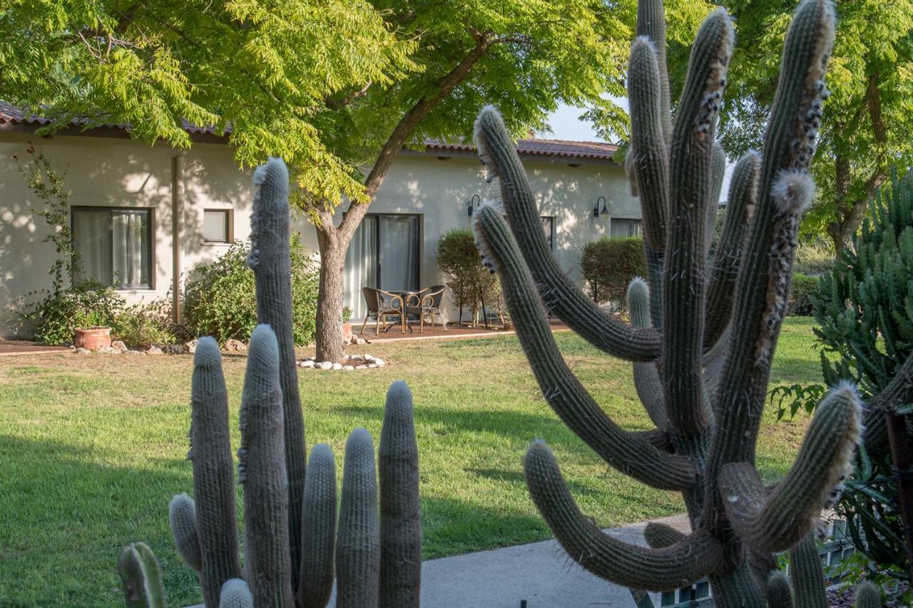 Degania Bet Kibbutz Country Lodging 호텔 키네레트 외부 사진